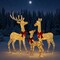 Large 3 Piece LED Lighted 3D Deer Family Christmas Outdoor Decoration 80.3 × 47.3 × 36 cm